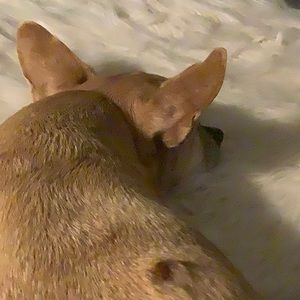 Meet your Posher, Terri